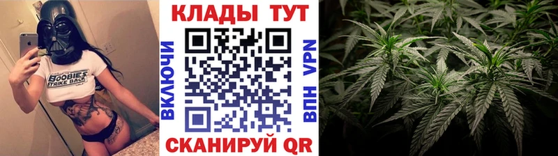 Как найти закладки Чекалин Псилоцибиновые грибы  Каннабис  МДМА  Гашиш  Cocaine  A-PVP  Меф 