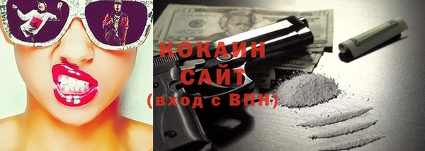 молекула духа Осташков