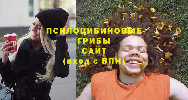 молекула духа Осташков