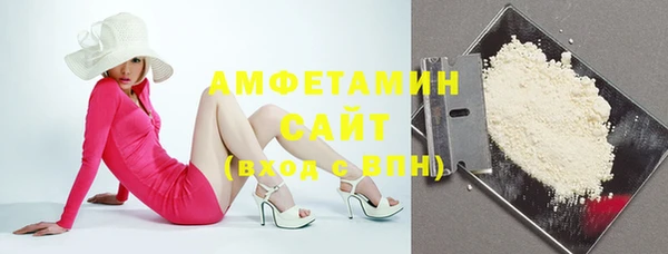 молекула духа Осташков