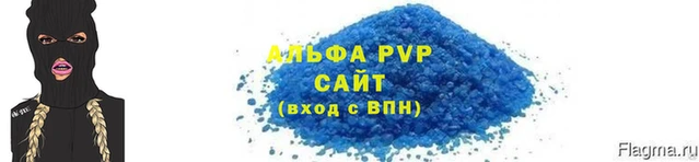 молекула духа Осташков