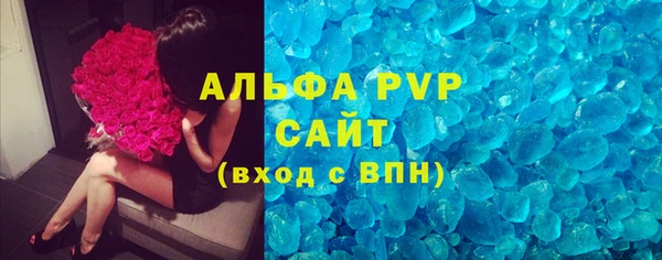 молекула духа Осташков