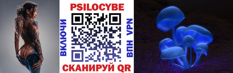 blacksprut маркетплейс  Чекалин  Псилоцибиновые грибы Cubensis  магазин продажи наркотиков 